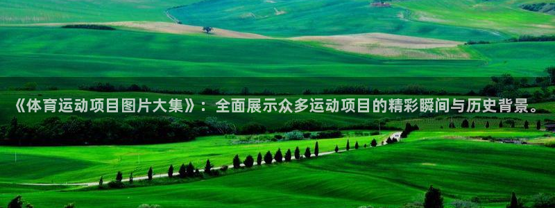 利记官网下载平台：《体育运动项目图片大集》：全面展示