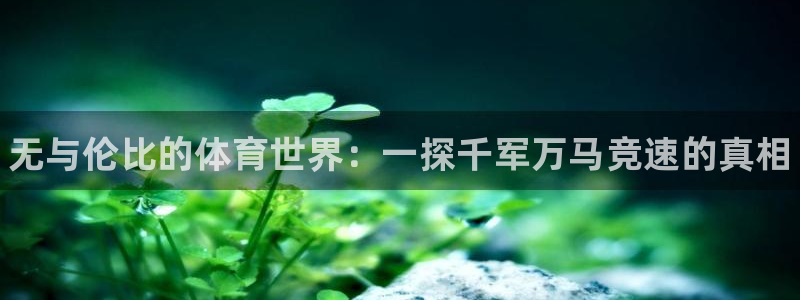 利记官方正版app娱乐网站：无与伦比的体育世界：一探