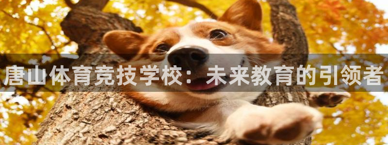 利记官网下载软件：唐山体育竞技学校：未来教育的引领者