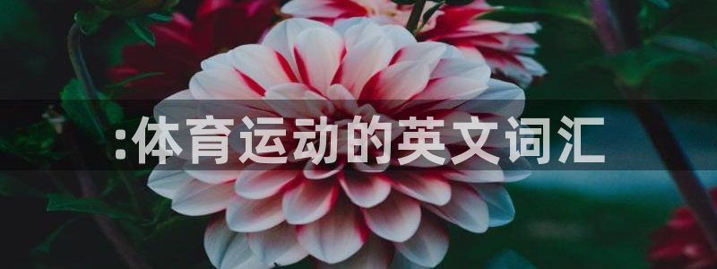 利记官网下载平台：:体育运动的英文词汇