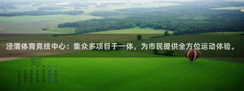 德国利记官方正版app集团：泾渭体育竞技中心：集众多