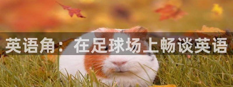 注册利记官方正版app：英语角：在足球场上畅谈英语