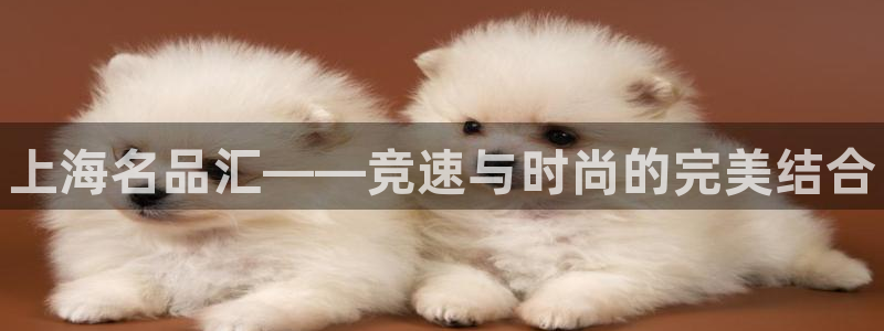利记官网下载招商电话是多少：上海名品汇——竞速与时尚