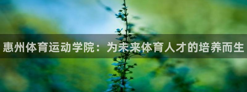利记官网下载平台是正规平台吗安全吗：惠州体育运动学院