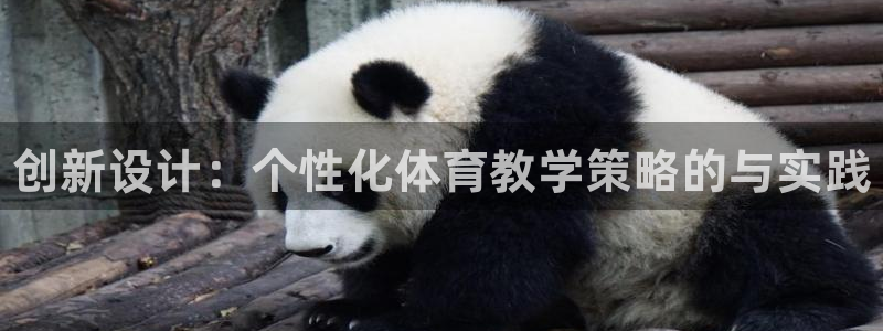 利记官方正版app娱乐代理怎么样：创新设计：个性化体