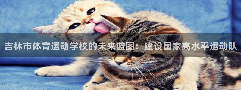 利记官网下载平台假的吗是真的吗吗：吉林市体育运动学校的未来蓝