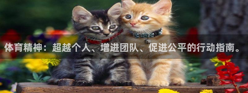 注册利记官方正版app：体育精神：超越个人、增进团队