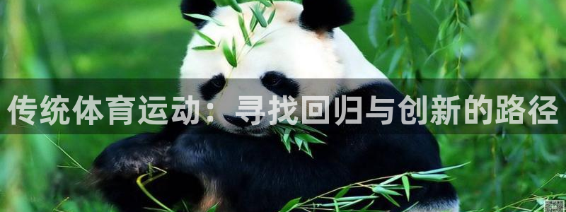 利记官方正版app官方：传统体育运动：寻找回归与创新的路径