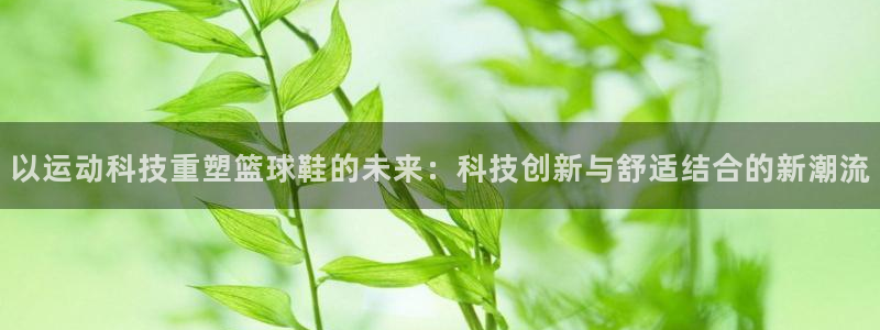 利记官网下载平台注册要钱吗安全吗：以运动科技重塑篮球鞋的未来