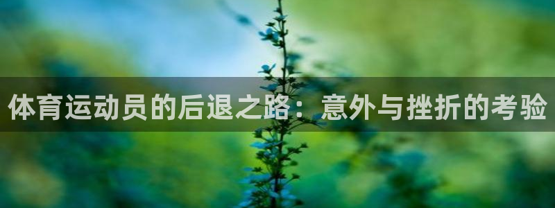 利记官方平台体育