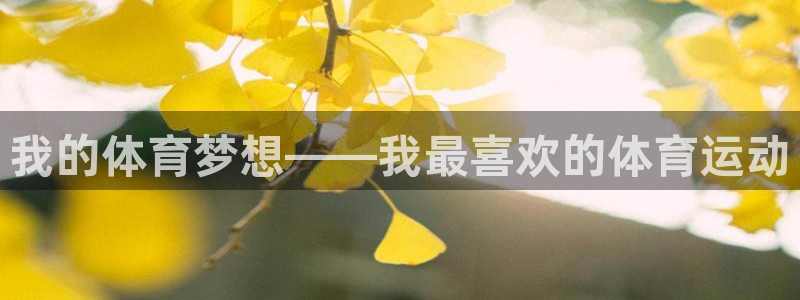 利记官网下载招商电话是多少：我的体育梦想——我最喜欢的体育运