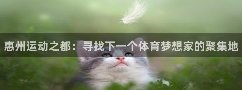 利记官方正版app神州