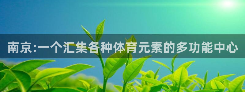 注册利记官方正版app：南京:一个汇集各种体育元素的多功能中