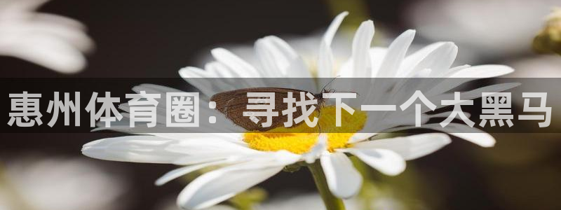 利记官方正版app娱乐代理怎么样：惠州体育圈：寻找下一个大黑