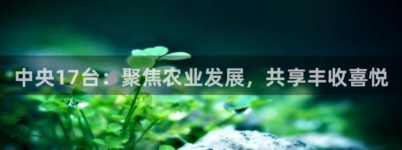 柠檬nba直播在线观看免费：中央17台：聚焦农业发展，共享丰收喜悦