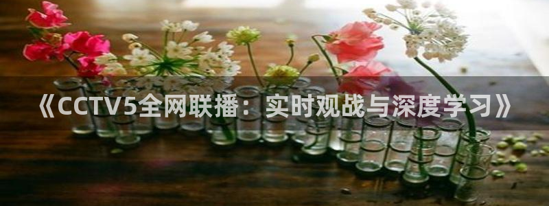 柠檬直播 篮球：《CCTV5全网联播：实时观战与深度学习》
