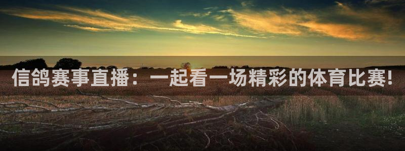 柠檬直播体育：信鸽赛事直播：一起看一场精彩的体育比赛!