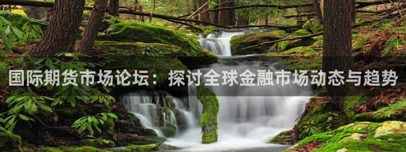 柠檬直播nba在线观看：国际期货市场论坛：探讨全球金融市场动态与趋势