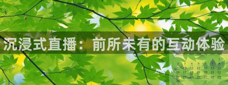 柠檬足球现场直播：沉浸式直播：前所未有的互动体验