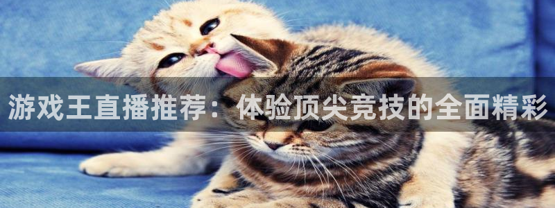柠檬直播间现场直播：游戏王直播推荐：体验顶尖竞技的全面精彩