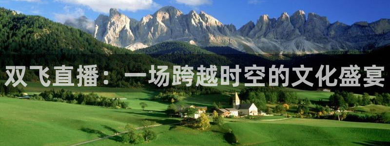 柠檬直播nba在线观看：双飞直播：一场跨越时空的文化盛宴