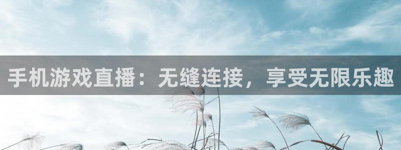 柠檬足球体育直播：手机游戏直播：无缝连接，享受无限乐趣